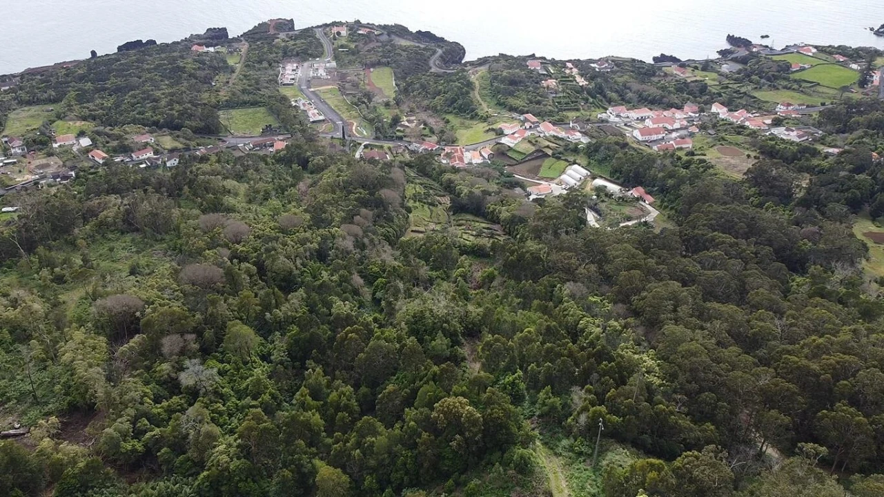 Terreno para Venda em Velas (São Jorge) Foto 10
