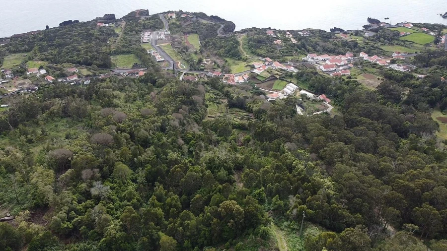 Terreno para Venda em Velas (São Jorge) Foto 10