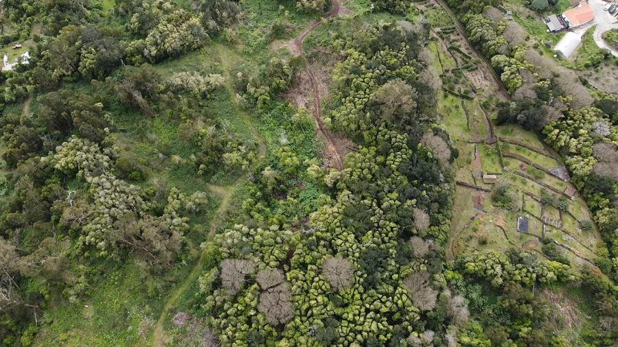 Terreno para Venda em Velas (São Jorge) Foto 12