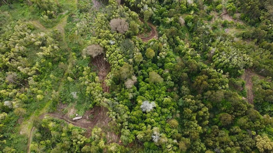 Terreno para Venda em Velas (São Jorge) Foto 3