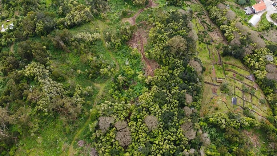 Terreno para Venda em Velas (São Jorge) Foto 8