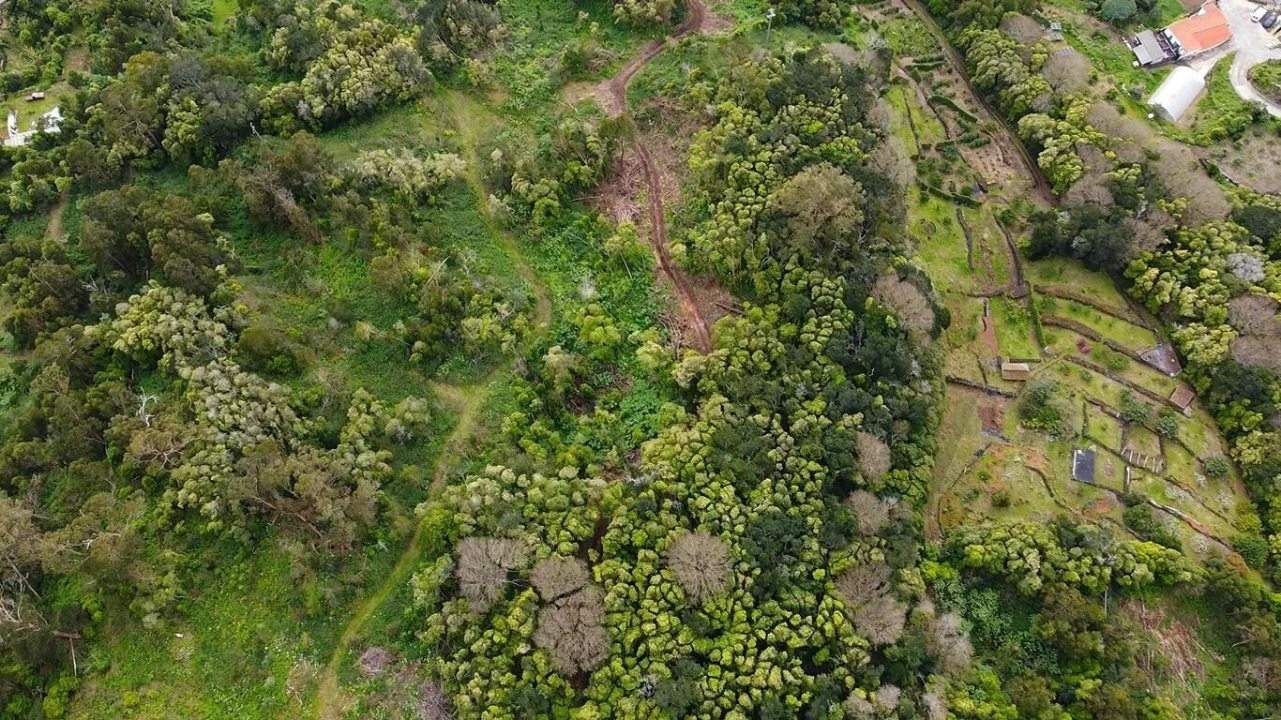 Terreno para Venda em Velas (São Jorge) Foto 8