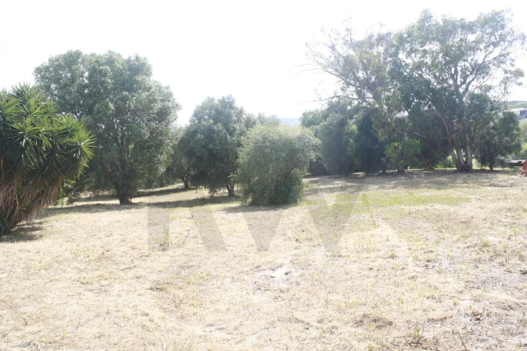 Terreno para Venda em Santo Antão e São Julião do Tojal Foto 5