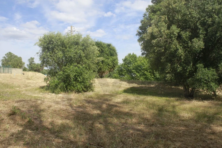 Terreno para Venda em Santo Antão e São Julião do Tojal Foto 9