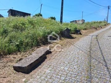 Terreno para Venda em São Torcato
