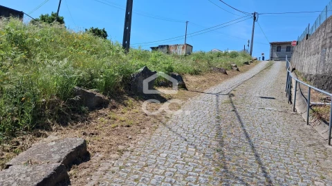 Terreno para Venda em São Torcato