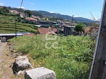 Terreno para Venda em São Torcato