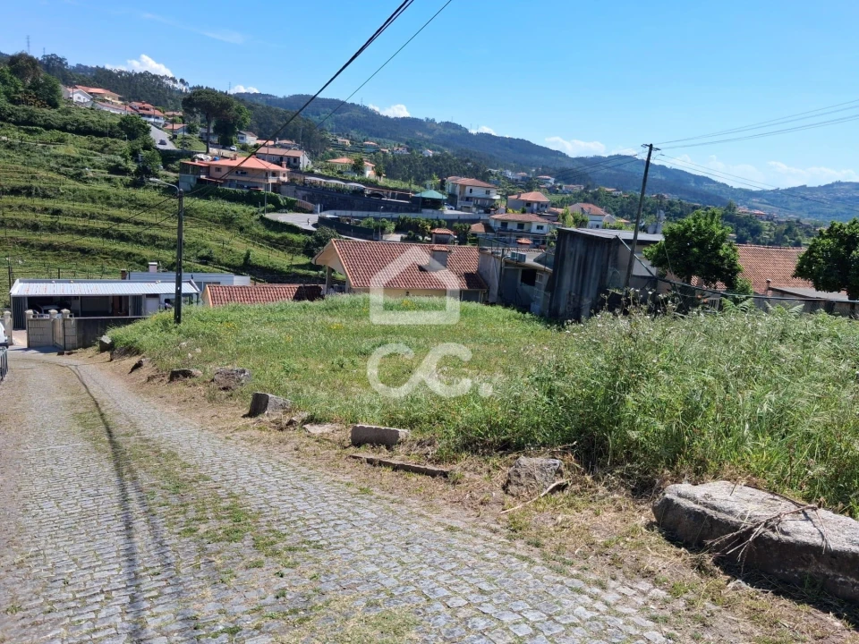 Terreno para Venda em São Torcato Foto 4