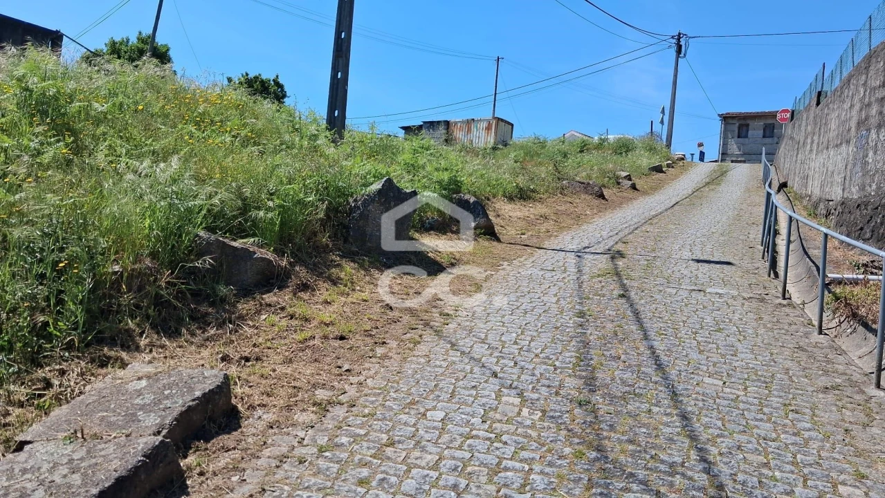 Terreno para Venda em São Torcato Foto 5