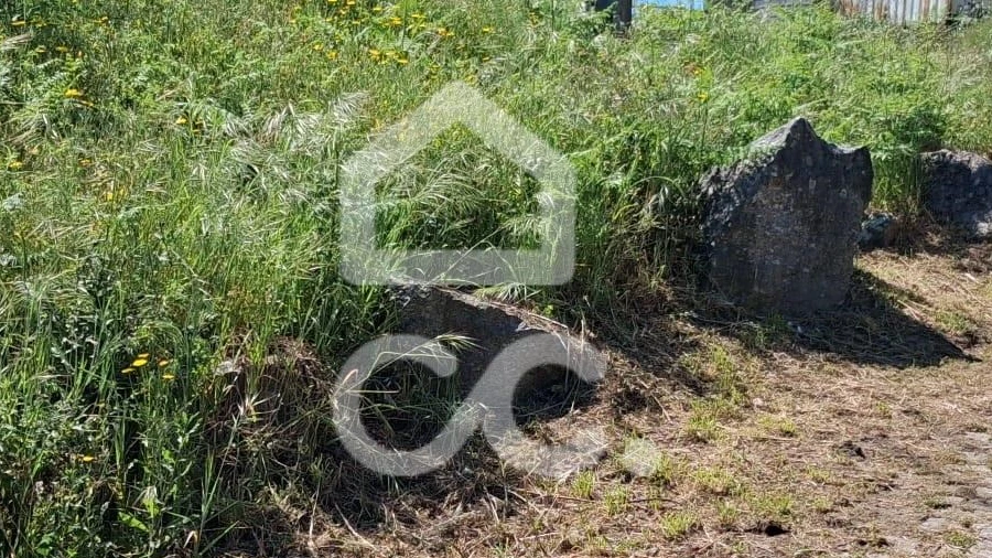 Terreno para Venda em São Torcato