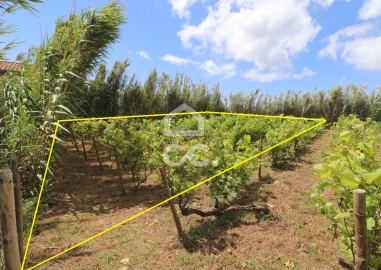 Moradia T2 para Venda em Agua Retorta