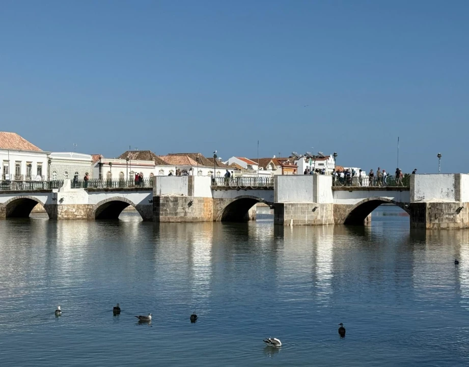 Terreno para Venda em Conceição e Cabanas de Tavira Foto 16