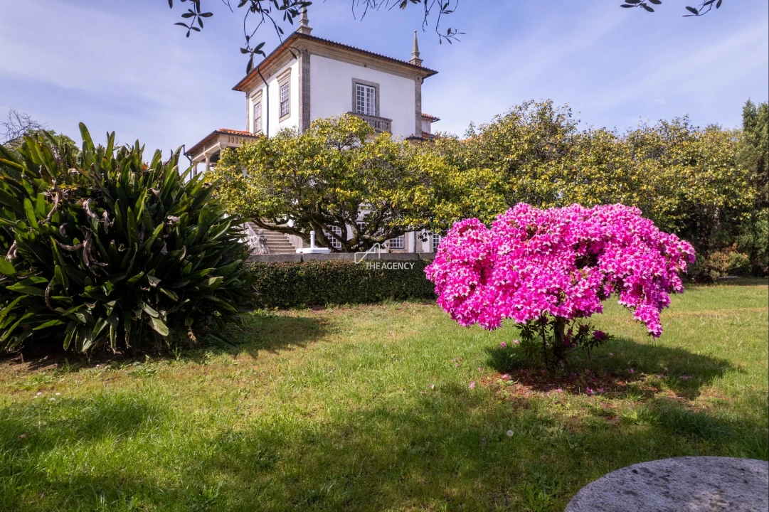 Quinta T10 para Venda em Santa Maria Maior e Monserrate e Meadela Foto 57