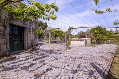 Quinta T10 para Venda em Santa Maria Maior e Monserrate e Meadela