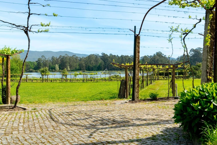 Quinta T10 para Venda em Santa Maria Maior e Monserrate e Meadela Foto 73