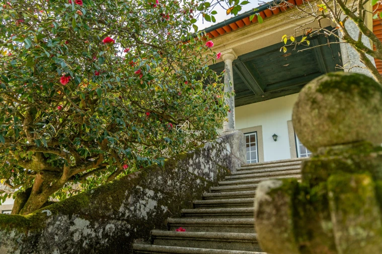 Quinta T10 para Venda em Santa Maria Maior e Monserrate e Meadela Foto 56