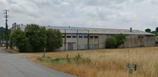 Armazém para Venda em Campo de Besteiros