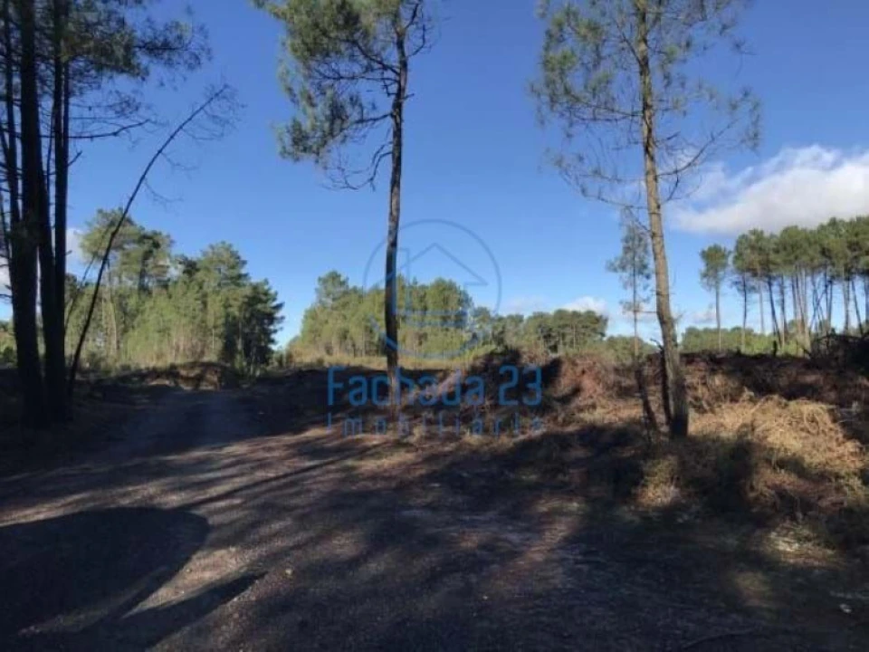 Terreno para Venda em Andrães Foto 1