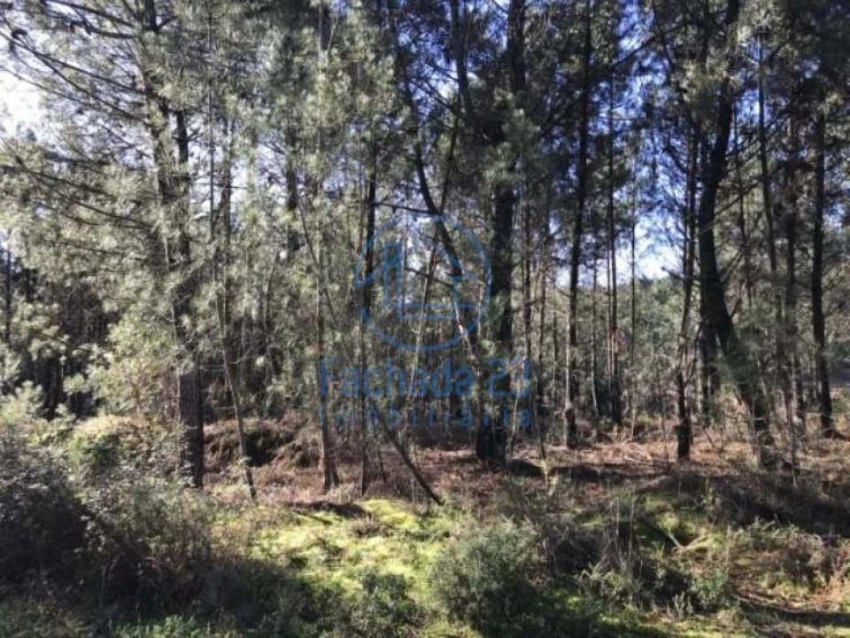 Terreno para Venda em Andrães Foto 5