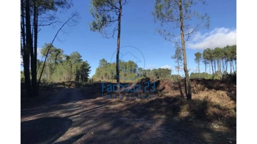 Terreno para Venda em Andrães