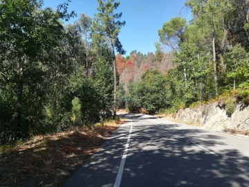 Terreno para Venda em Campo de Besteiros