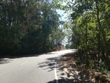 Terreno para Venda em Campo de Besteiros