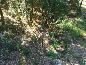 Terreno para Venda em Campo de Besteiros