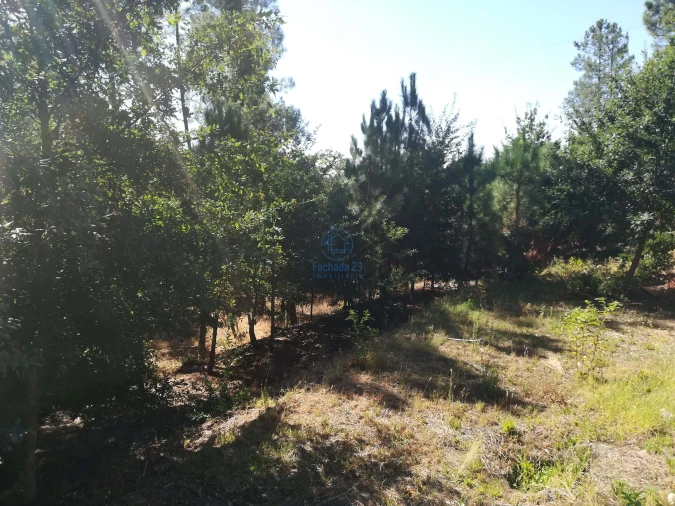 Terreno para Venda em Campo de Besteiros Foto 11