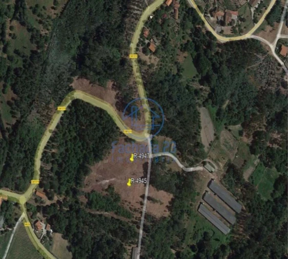 Terreno para Venda em Campo de Besteiros Foto 3