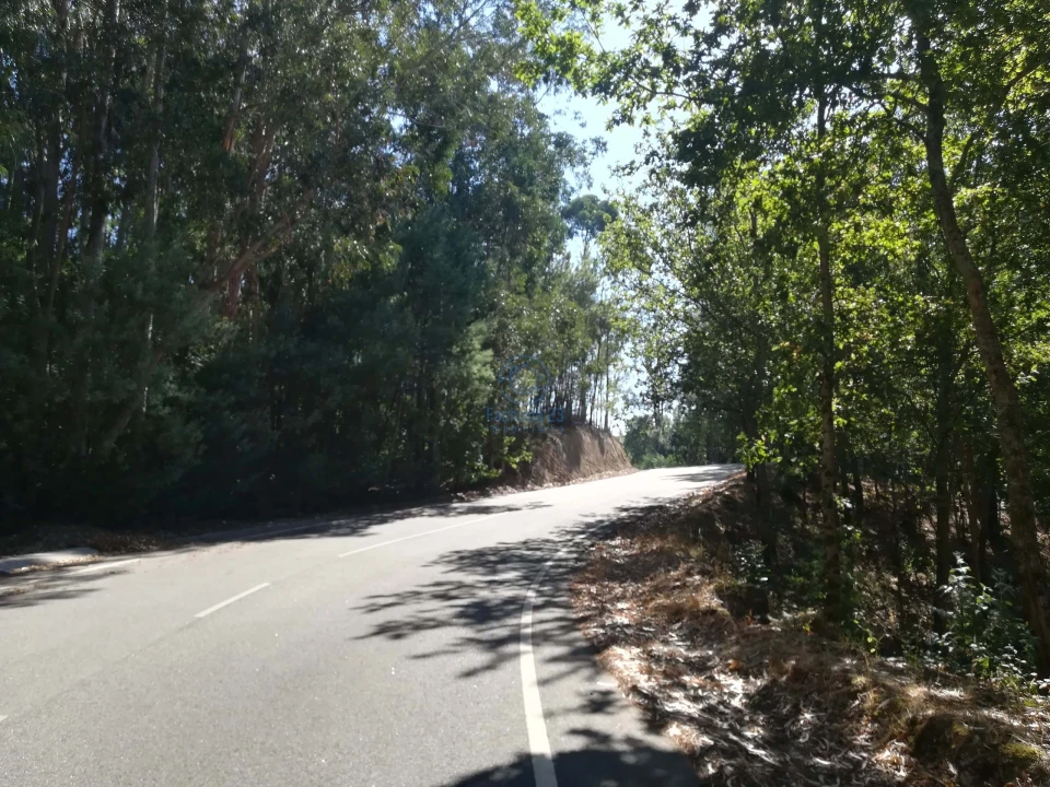Terreno para Venda em Campo de Besteiros Foto 1