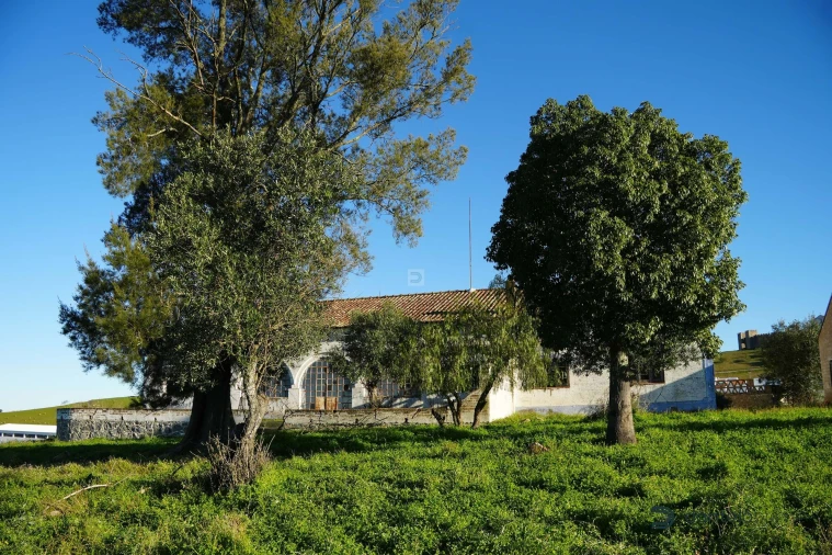 Terreno para Venda em Arraiolos Foto 10