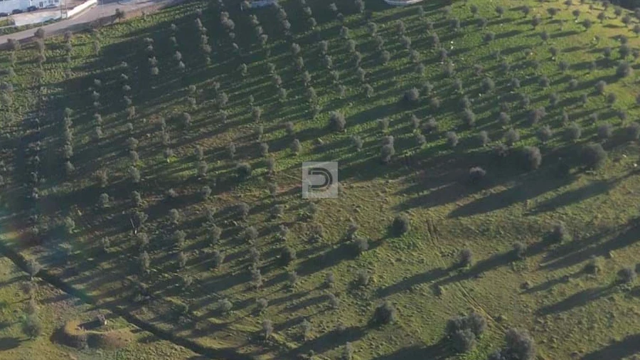 Terreno para Venda em Arraiolos
