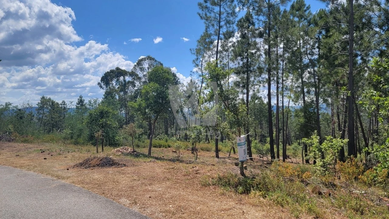 Terreno Agricola ou Rústico para Venda em Sarzedas Foto 3