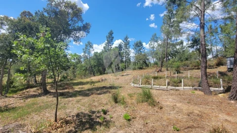 Terreno Agricola ou Rústico para Venda em Sarzedas