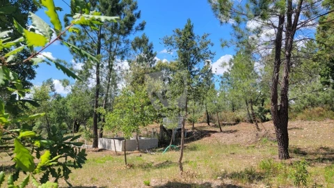Terreno Agricola ou Rústico para Venda em Sarzedas
