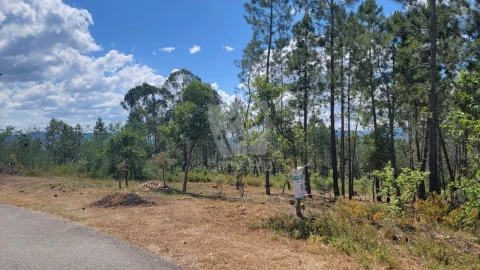 Terreno Agricola ou Rústico para Venda em Sarzedas