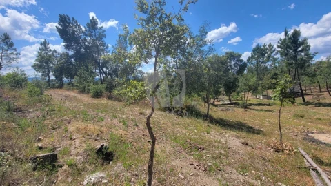Terreno Agricola ou Rústico para Venda em Sarzedas