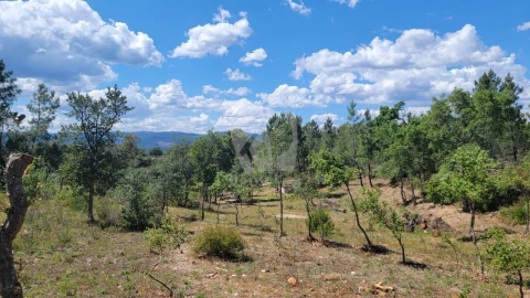 Terreno Agricola ou Rústico para Venda em Sarzedas