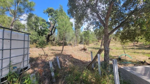 Terreno Agricola ou Rústico para Venda em Sarzedas