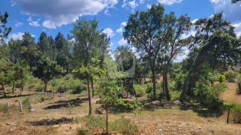 Terreno Agricola ou Rústico para Venda em Sarzedas
