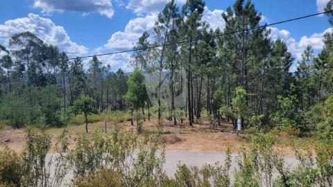 Terreno Agricola ou Rústico para Venda em Sarzedas
