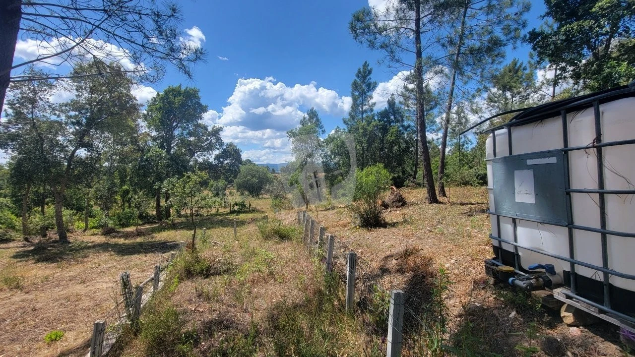 Terreno Agricola ou Rústico para Venda em Sarzedas Foto 21