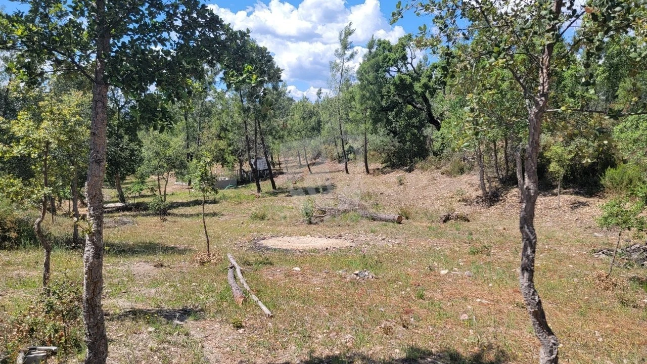 Terreno Agricola ou Rústico para Venda em Sarzedas Foto 10