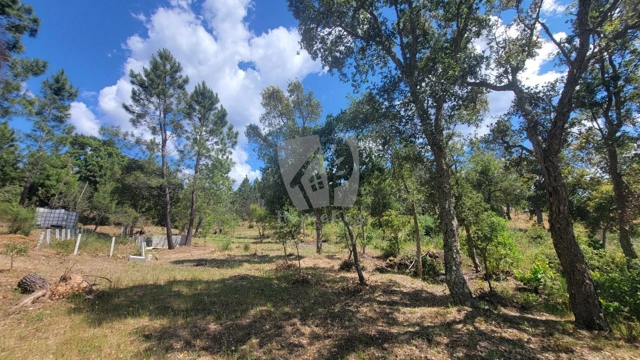 Terreno Agricola ou Rústico para Venda em Sarzedas Foto 26