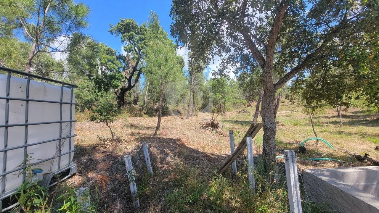 Terreno Agricola ou Rústico para Venda em Sarzedas Foto 20