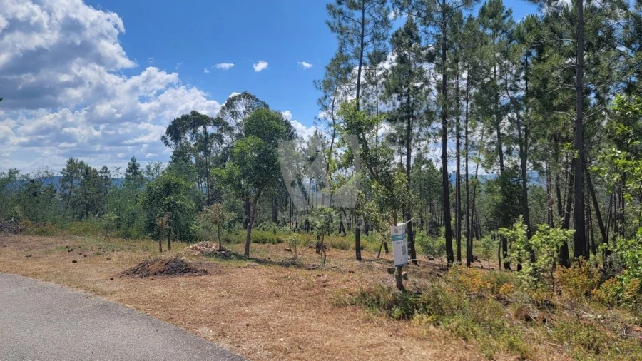 Terreno Agricola ou Rústico para Venda em Sarzedas Foto 3