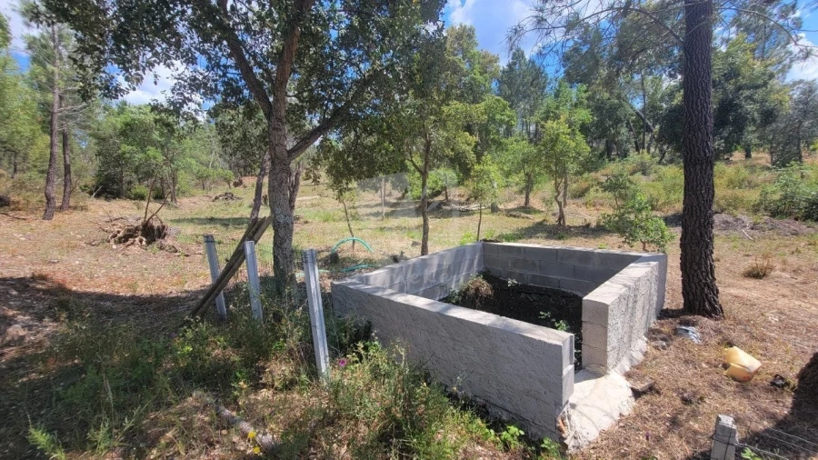 Terreno Agricola ou Rústico para Venda em Sarzedas Foto 19