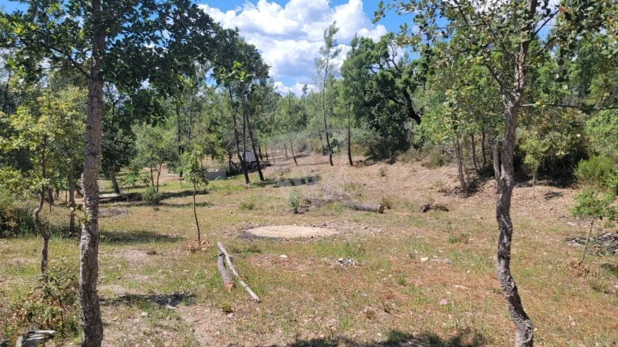 Terreno Agricola ou Rústico para Venda em Sarzedas Foto 10
