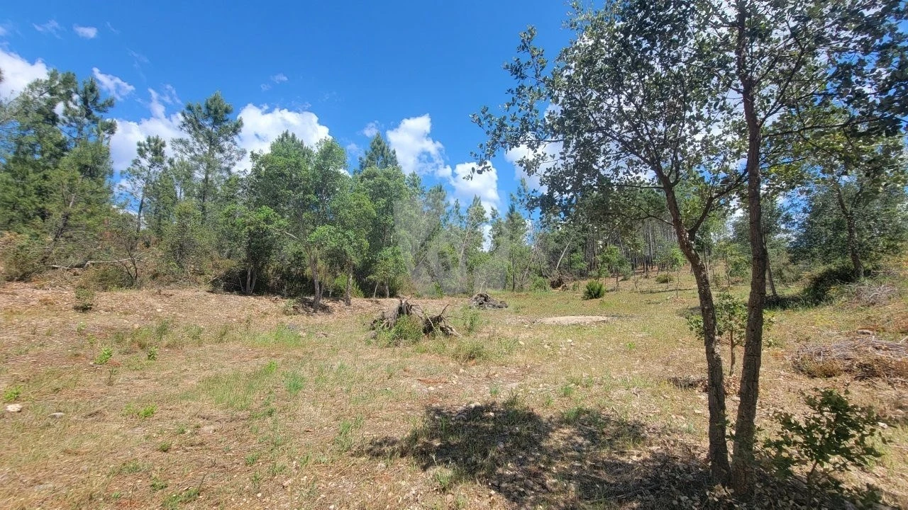 Terreno Agricola ou Rústico para Venda em Sarzedas Foto 14