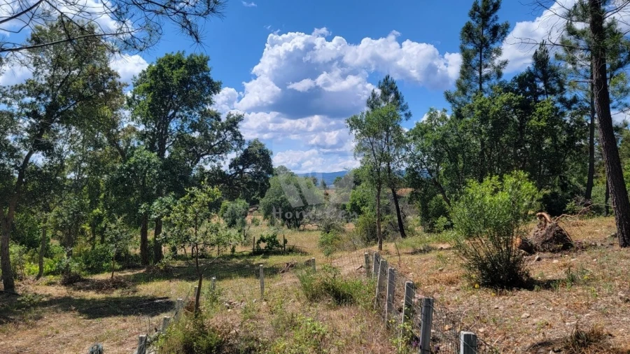 Terreno Agricola ou Rústico para Venda em Sarzedas